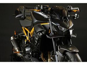KAWASAKI Z900 2026 GOLD FRAME ULTIMATE,,EVO2,,PLUS,,HP139