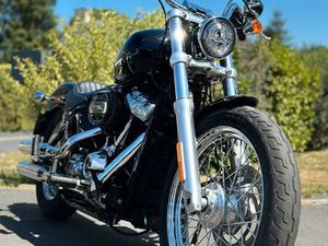 HARLEY DAVIDSON SOFTAIL STANDARD