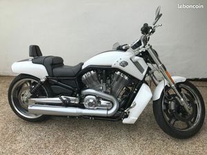 HARLEY DAVIDSON VROD MUSCLE 1250■PA■23700 KM ANNÉE■PRIX FERME 14 000