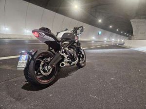 TRIUMPH TRIDENT 660 TRIBUTE DEL 2024 BIANCO