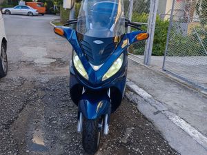 MALAGUTI MADISON →