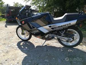 CAGIVA FRECCIA C12 SEVEN SPEED
