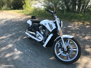 HARLEY DAVIDSON VROD MUSCLE 1250