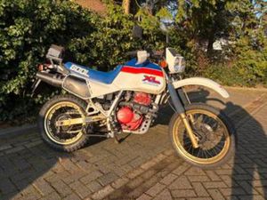 HONDA XL600LM XL 600 LM PARIS DAKAR OLTIMER — MOTOREN | HONDA — MARKTPLAATS