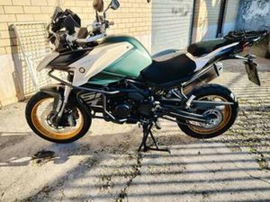 QJ MOTOR SRT 800 - 2024