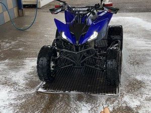 250 RAPTOR HOMOLOGUÉ