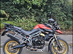 TRIUMPH, TIGER, 2010, 800 (CC)