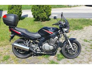 SUZUKI GS 500 G MIT KOFFER 4250 KM! TÜV NEU BIS MAI / 2027