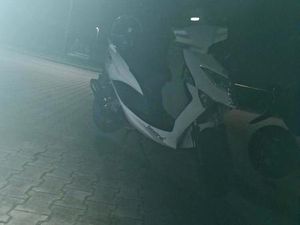 BEELINE TAPO 2T 50 CCM