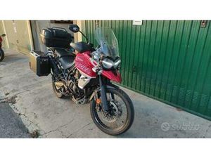 TRIUMPH TIGER 800 - 2019