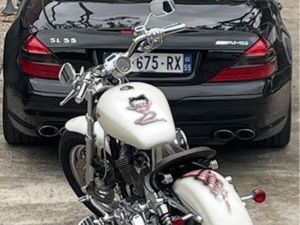 HARLEY 1200 SPORTSTER BETTY BOOP