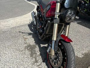 BENELLI LEONCINO 500