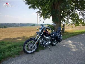 YAMAHA VIRAGO 750 A2 31KW V TP