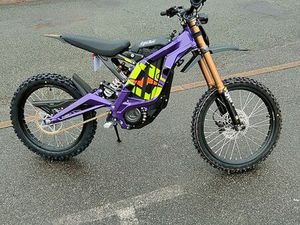 LIGHT BEE 2025 SURRON