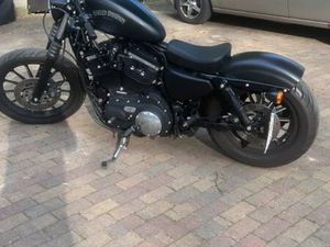 HARLEY-DAVIDSON XL883N