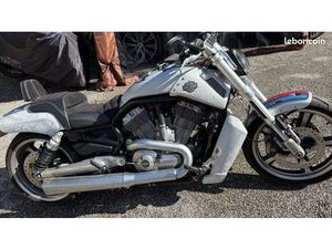 HARLEY DAVIDSON VROD MUSCLE
