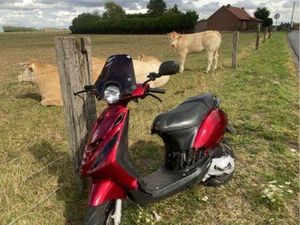 VEND SCOOTER ZIP