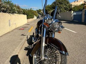 SOFTAIL DELUXE CHICANOS