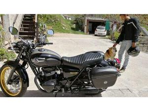 VENDO KAWASAKI W 800 (2010 - 17) USATA A TRENTO (CODICE 9904119) - MOTO.IT