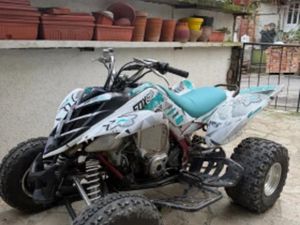 YAMAHA RAPTOR