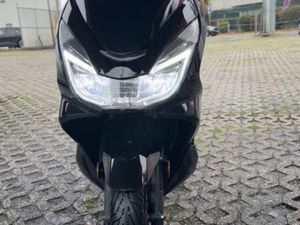 HONDA PCX 125 | 2017 CANIDELO