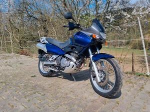 SUZUKI FX650 FREEWIND