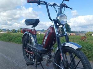 MOFA HERCULES PRIMA 5 MIT ORIGINALPAPIEREN