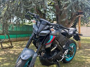 MT 125-ABS 2023