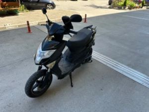 BENELLI 49X TAPO BEELINE