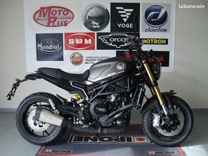 LEONCINO 800 STD BENELLI A/A2