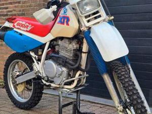 ZELDZAME HONDA XR600R ENDURO - TOPSTAAT! — MOTOREN | HONDA — MARKTPLAATS