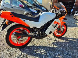 YAMAHA - RD 350 LC - 1WT - 1987