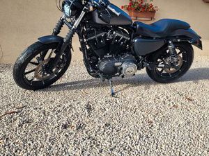 HARLEY DAVIDSON IRON 883