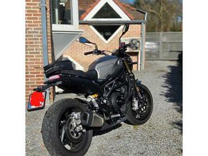 ② BENELLI LEONCINO 800