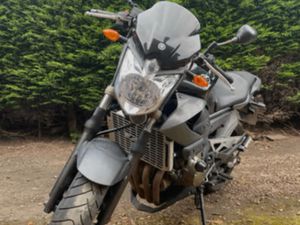 YAMAHA, XJ6 ABS, 2010, 599 (CC)