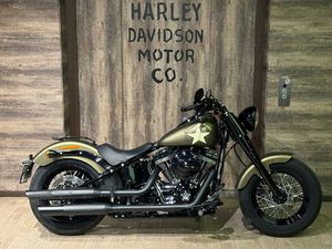 FLSS SOFTAIL SLIM S110 ABS
