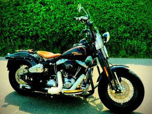 HARLEY DAVIDSON CROSSBONES