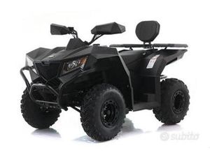 QUAD CYBERROAMER 250 CC