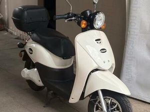 NINGBO DONGFANG ALFA 1200 E-ROLLER -SCOOTER 2RAD 45KMH MOTORROLLE