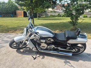 HARLEY V ROD MUSCLE 1250