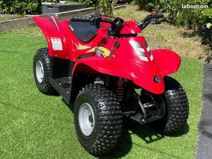 IDÉE CADEAU POUR NOËL ? VRAI QUAD E-TON 50 VIPER JUNIOR