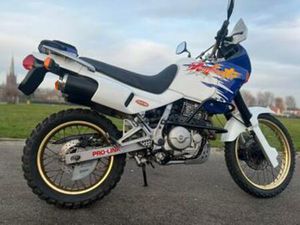 PRACHTIGE HONDA NX 650 DOMINATOR — MOTOREN | HONDA — MARKTPLAATS