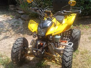 QUAD PARVISA HURRICANE