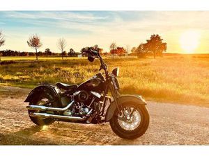 HARLEY-DAVIDSON SOFTAIL CROSS BONES