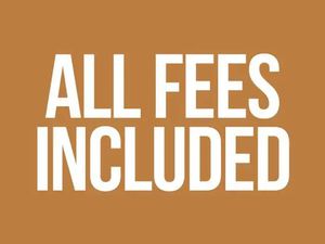 2026 TRIUMPH TIGER 900 ALPINE EDITION