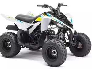 QUAD 90 RAPTOR