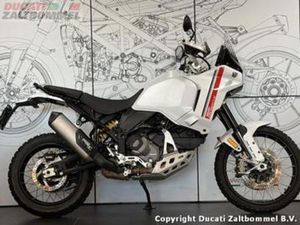 DUCATI DESERT X (BJ 2024) — MOTOREN | DUCATI — MARKTPLAATS