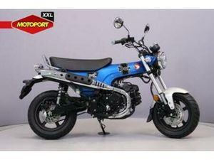 HONDA DAX 125 (BJ 2026) — MOTOREN | HONDA — MARKTPLAATS