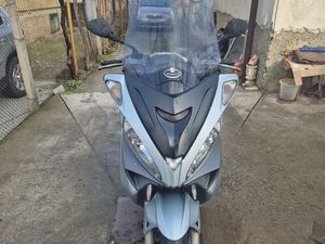 MALAGUTI MADISON →