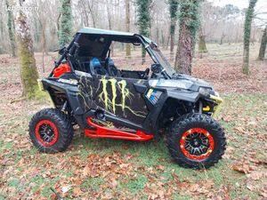 POLARIS RZR